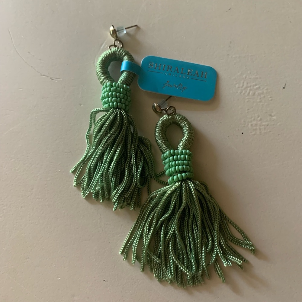 NWT tassel earrings